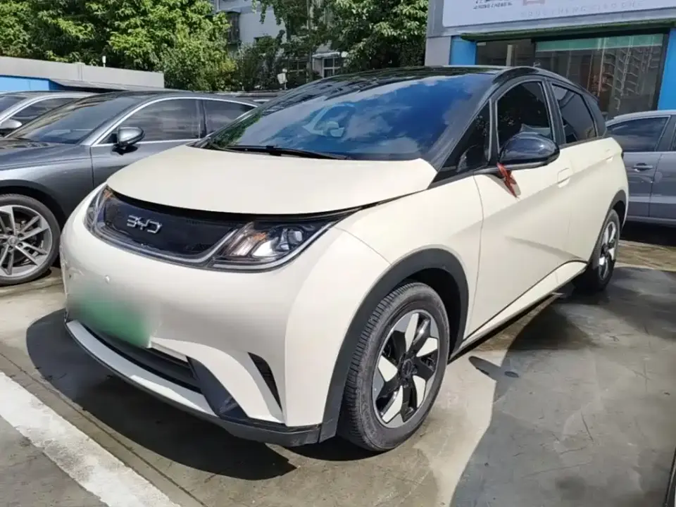 BYD Dolphin Glory Edition 420km Fashion Edition 2024