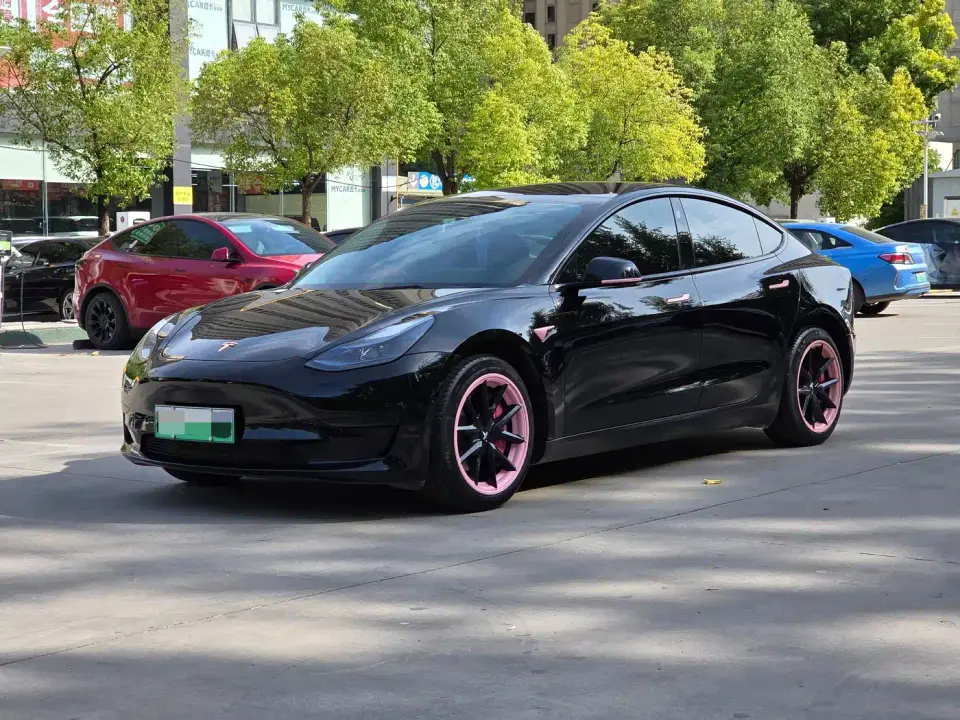 Tesla Model 3 Model Rear-Wheel Drive Version 2023
