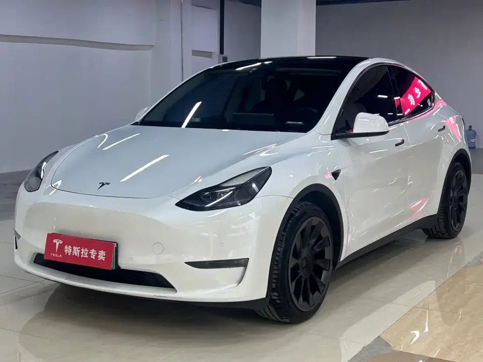 Tesla Model Y Model Long Range AWD 2021