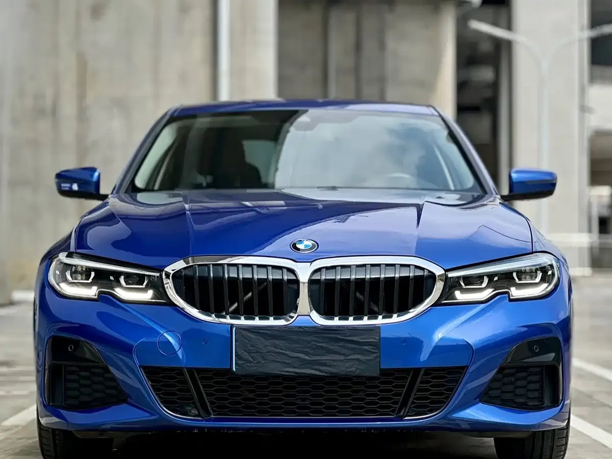 BMW 3 Series 325Li M Sport Package 2020 — фото 2
