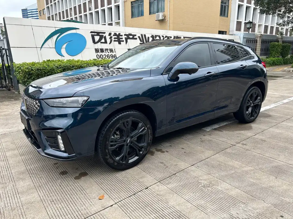 Wey VV7 Model 2.0T Flagship 2019