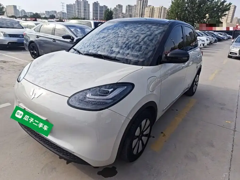 Wuling Motors Wuling Bingo 333km Comfort Edition 2024