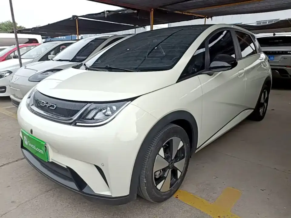 BYD Dolphin 420km Fashion Edition 2023