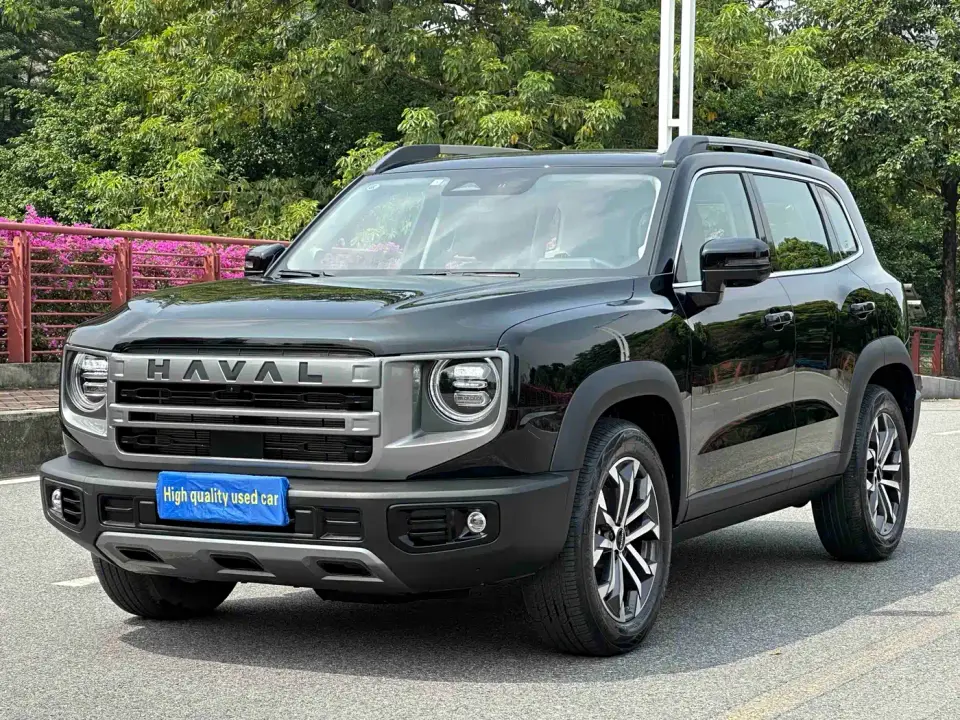 Haval Big Dog 1.5T DCT Border Collie Edition 2025