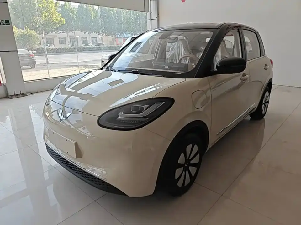 Wuling Motors Wuling Bingo Model 333km Joy Edition 2026