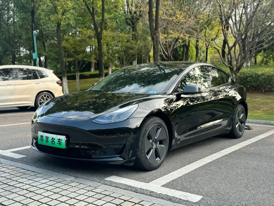 Tesla Model 3 Standard Range Rear-Wheel Drive Upgrade 3D6 2021