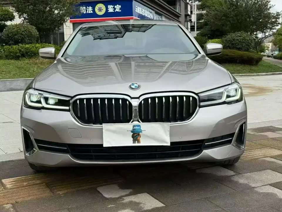 BMW 5 Series 525Li Luxury Package 2022