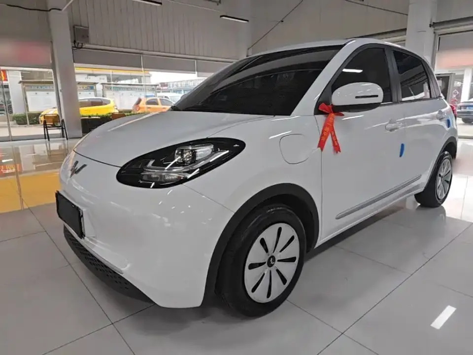 Wuling Motors Wuling Bingo 203km Lite Edition 2024
