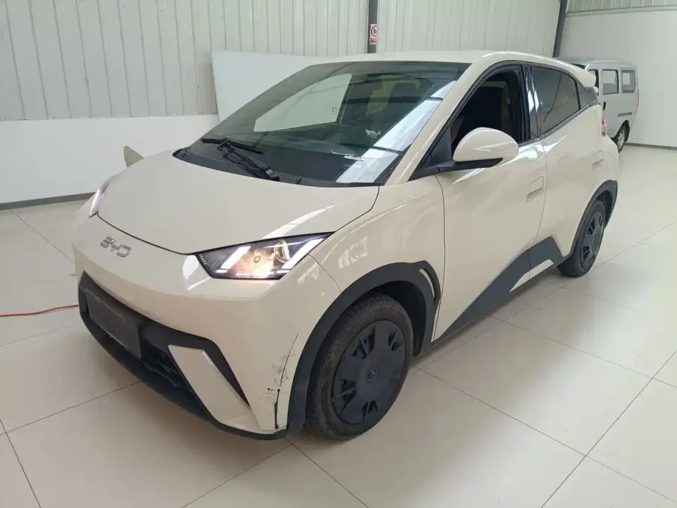 BYD Seagull Glory Edition 305km Vitality Edition 2024