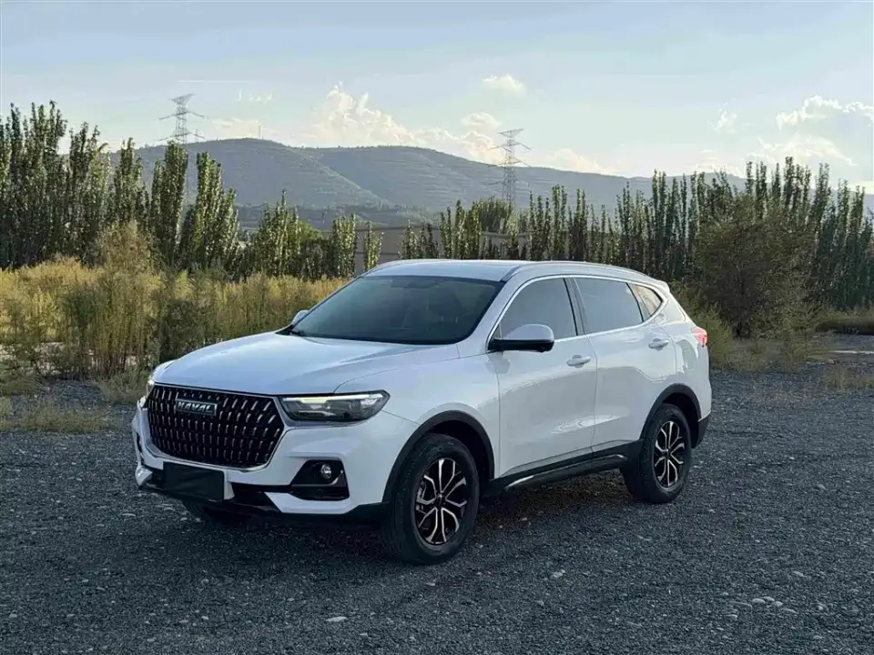 Haval H6 National Trend Edition 1.5T Automatic Urban 2023