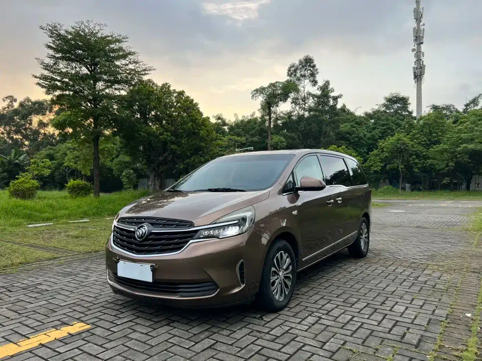 Buick GL8 Model Land Business Class 652T Luxury 2020