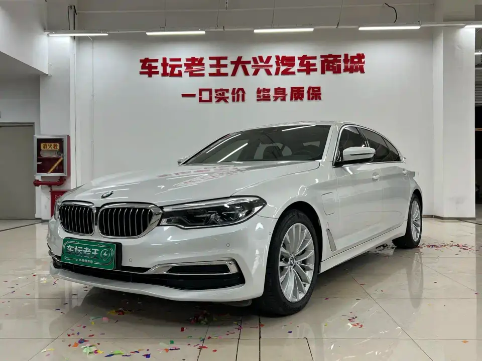 BMW 5 Series New Energy Facelift 530Le Luxury Package 2019