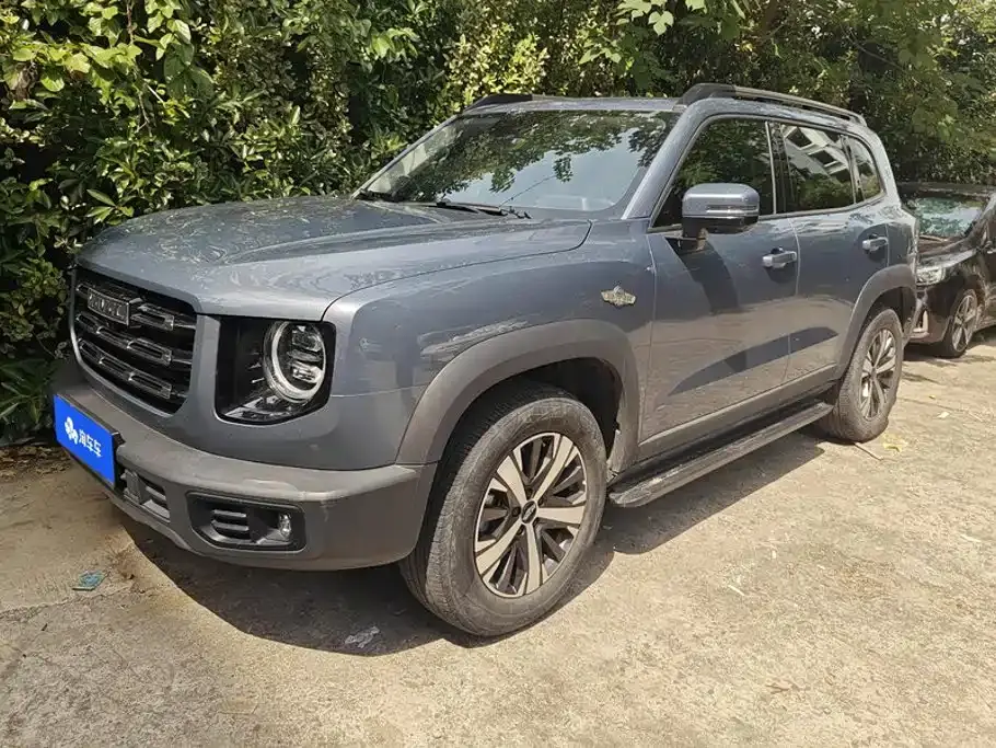 Haval Big Dog 1.5T DCT 2WD Labrador Edition 2021