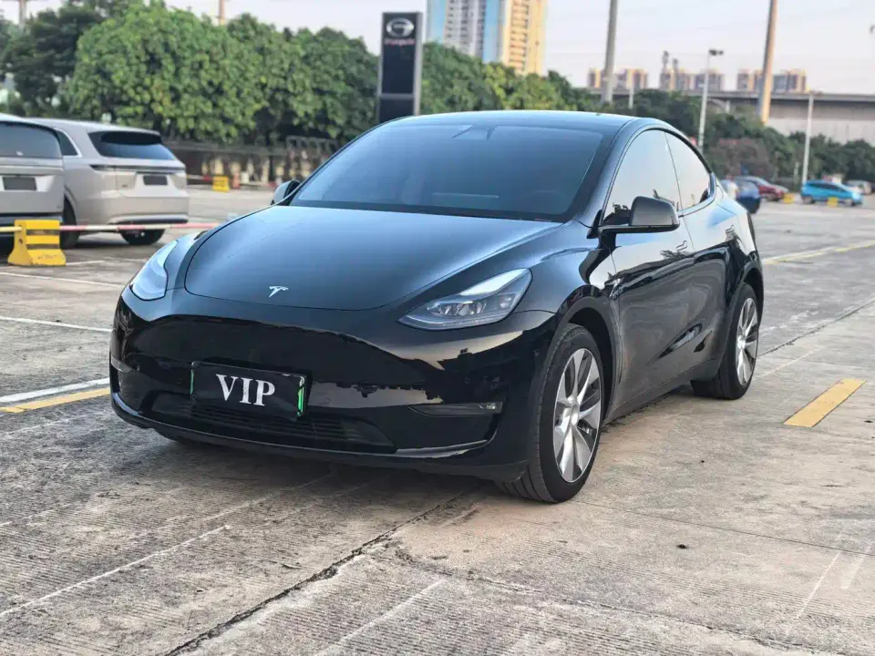 Tesla Model Y Long Range All-Wheel Drive 3D7 2021