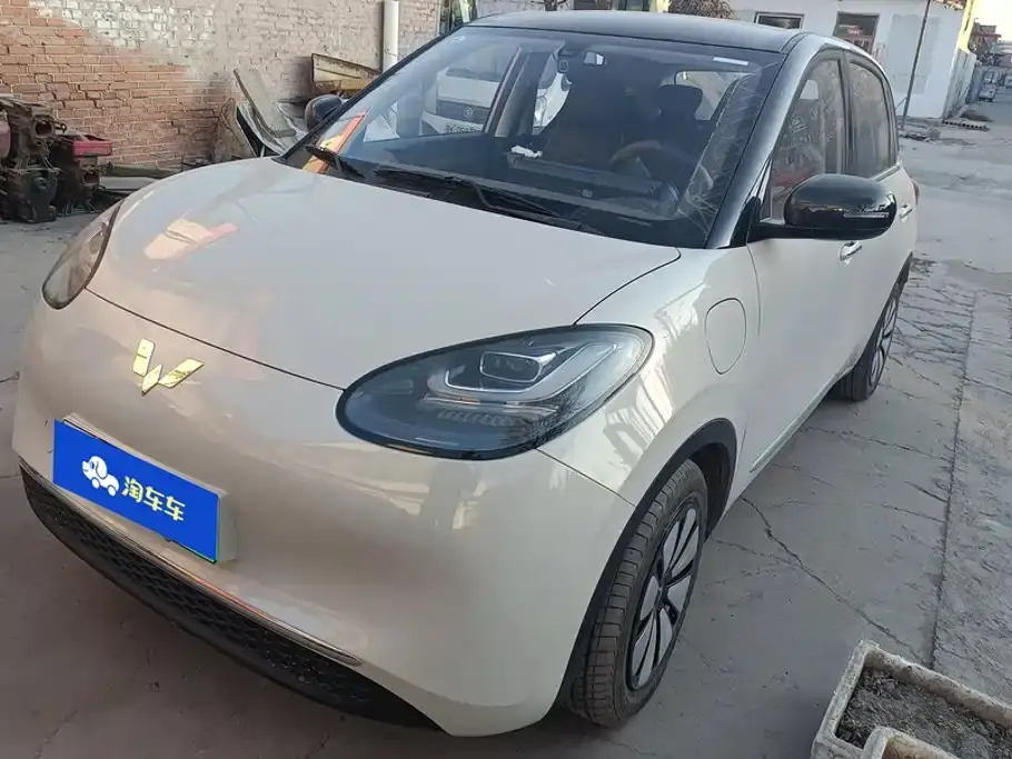 Wuling Motors Wuling Bingo 333km Comfort Edition 2024