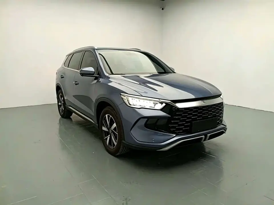 BYD Song Pro New Energy Glory Edition DM-i 71KM Pilot 2024