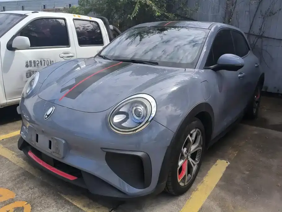 ORA Good Cat GT Mulan Edition 480km Long Range 2021