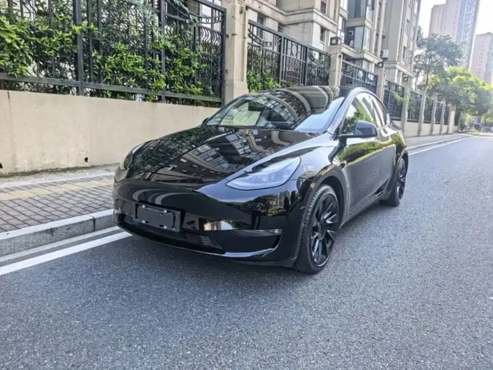 Tesla Model Y Standard Range Rear-Wheel Drive 2021