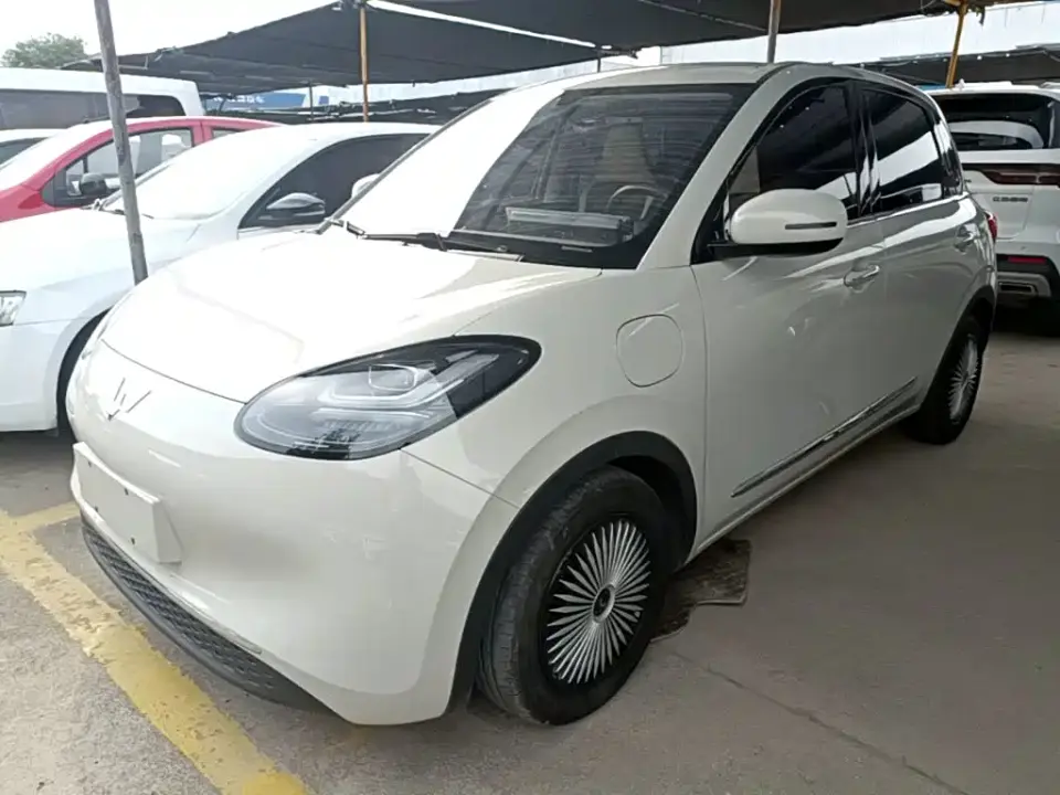 Wuling Motors Wuling Bingo 333km Comfort Edition 2024