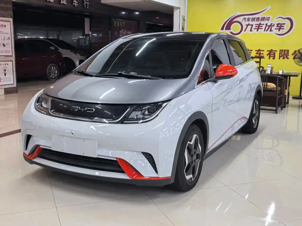BYD Dolphin Model 405km Fashion Edition 2022