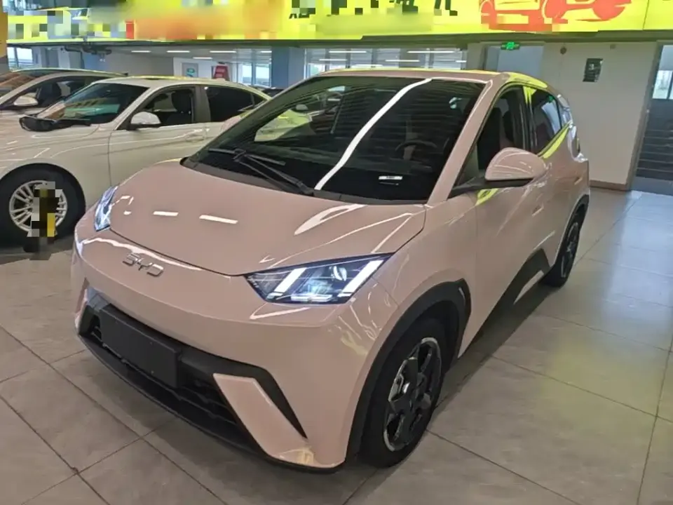 BYD Seagull Glory Edition 405km Soaring Edition 2024