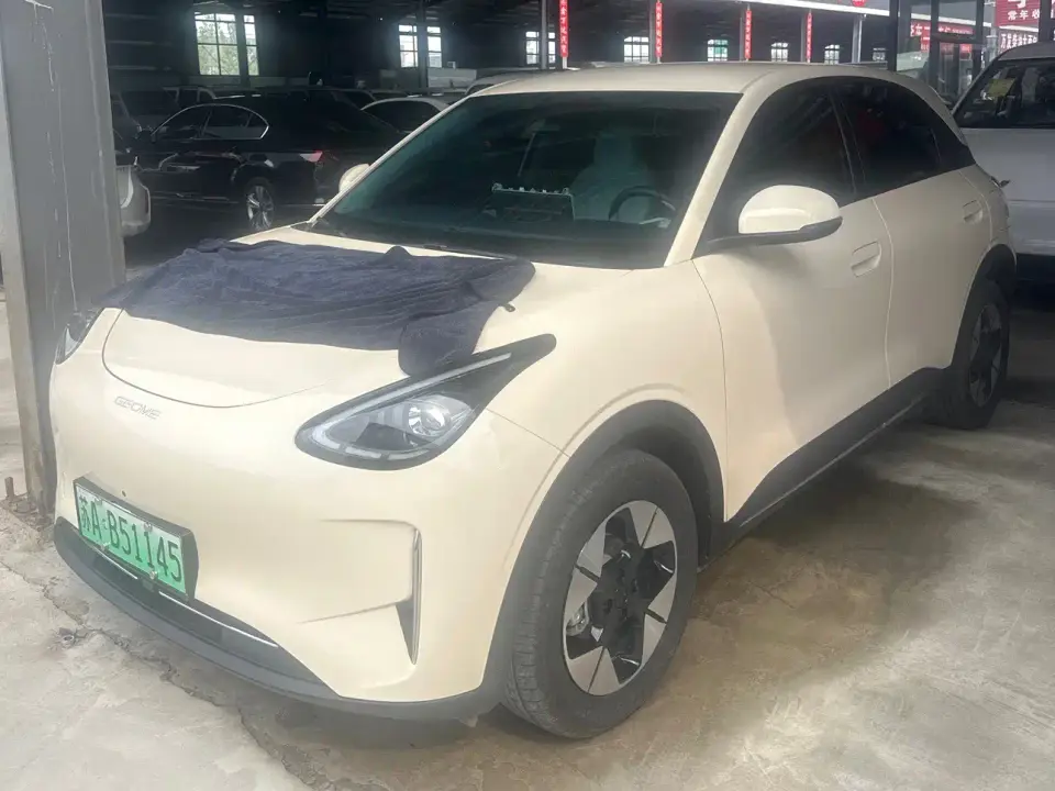 Geely Galaxy Starry Wish Model 310km Dream Edition 2025