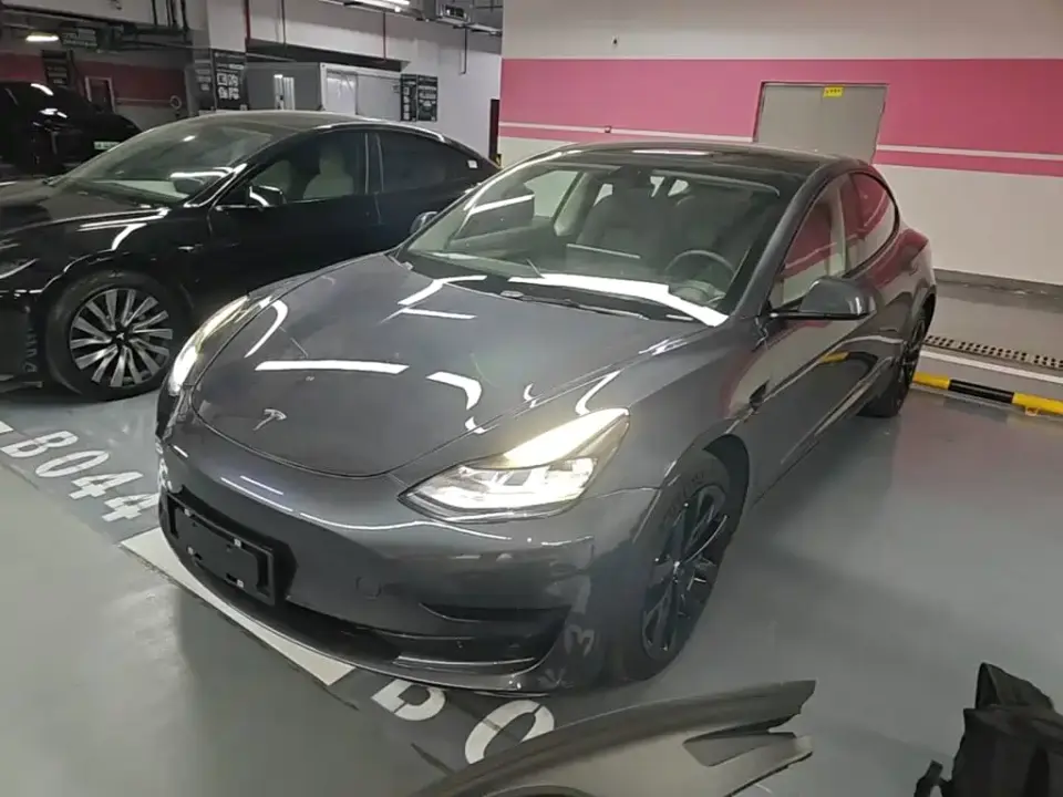 Tesla Model 3 Standard Range Rear-Wheel Drive Upgrade 3D6 2021