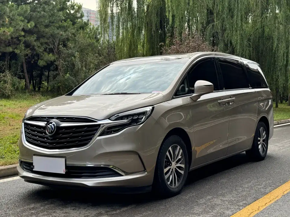 Buick GL8 ES Landmark 653T Comfort 2022
