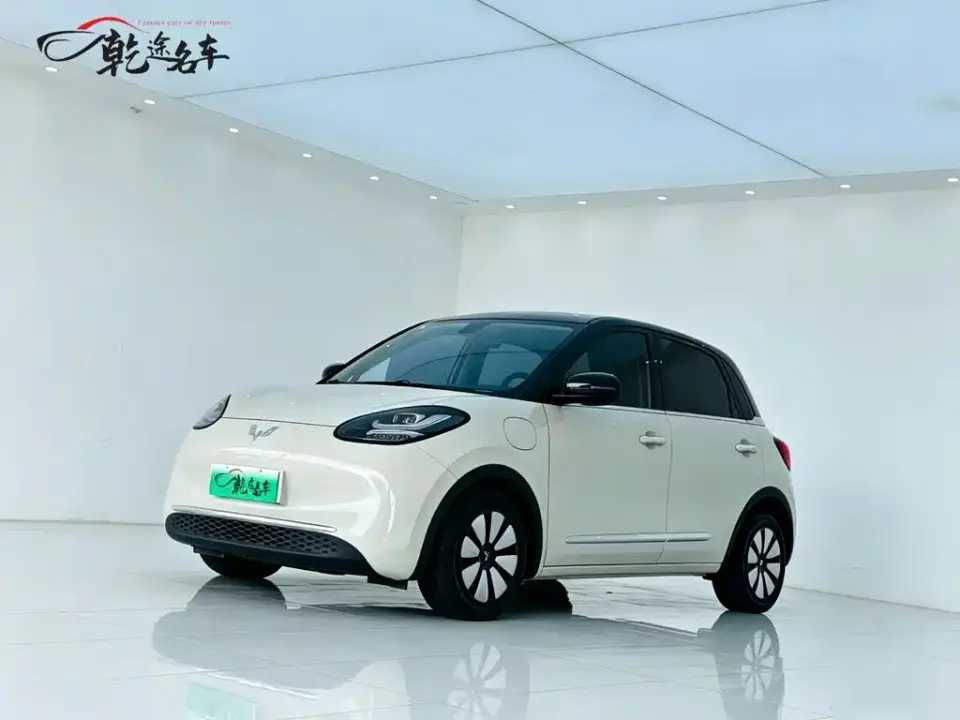 Wuling Motors Wuling Bingo 410km Lingxi Premium Edition 2024
