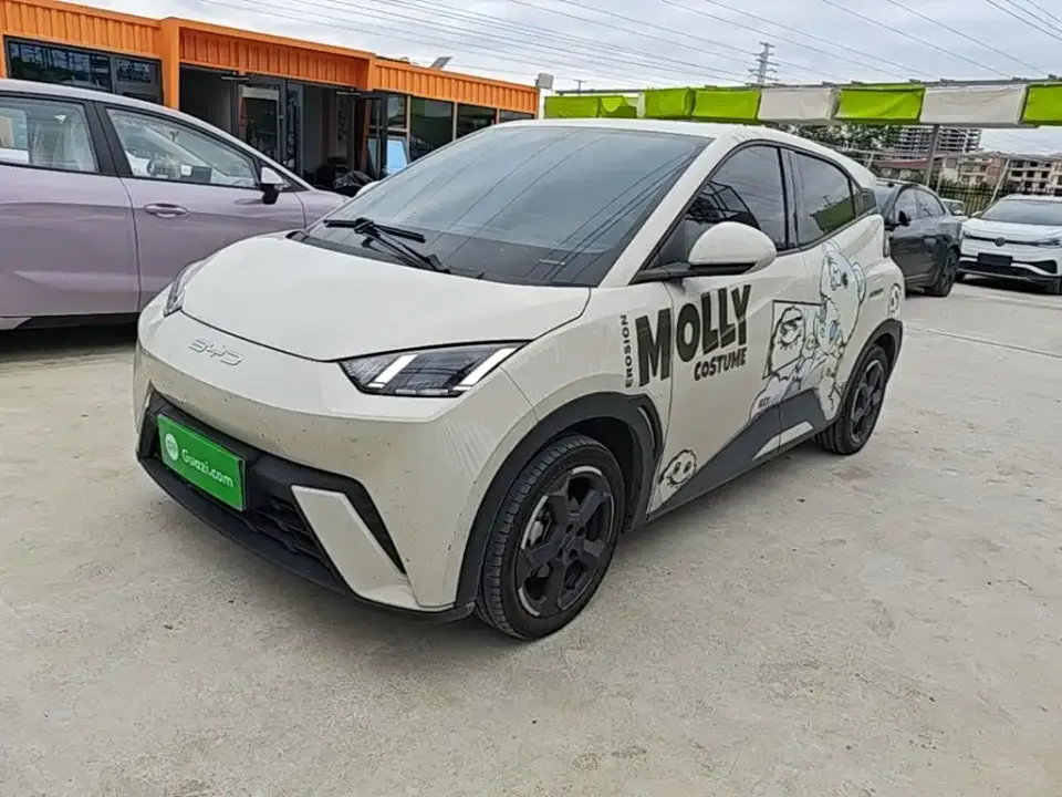BYD Seagull Freedom Edition 2023
