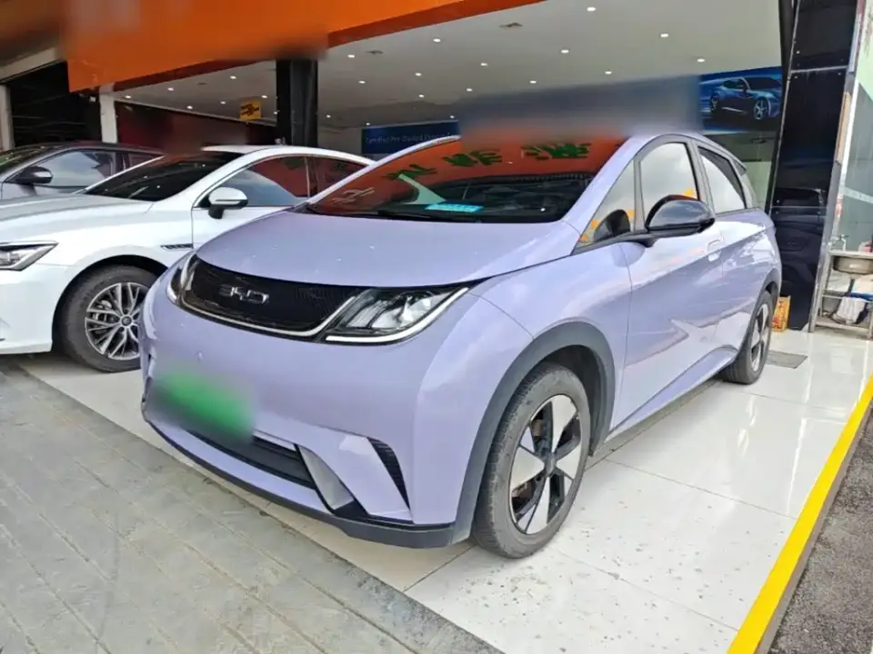 BYD Dolphin 420km Freedom Edition 2024