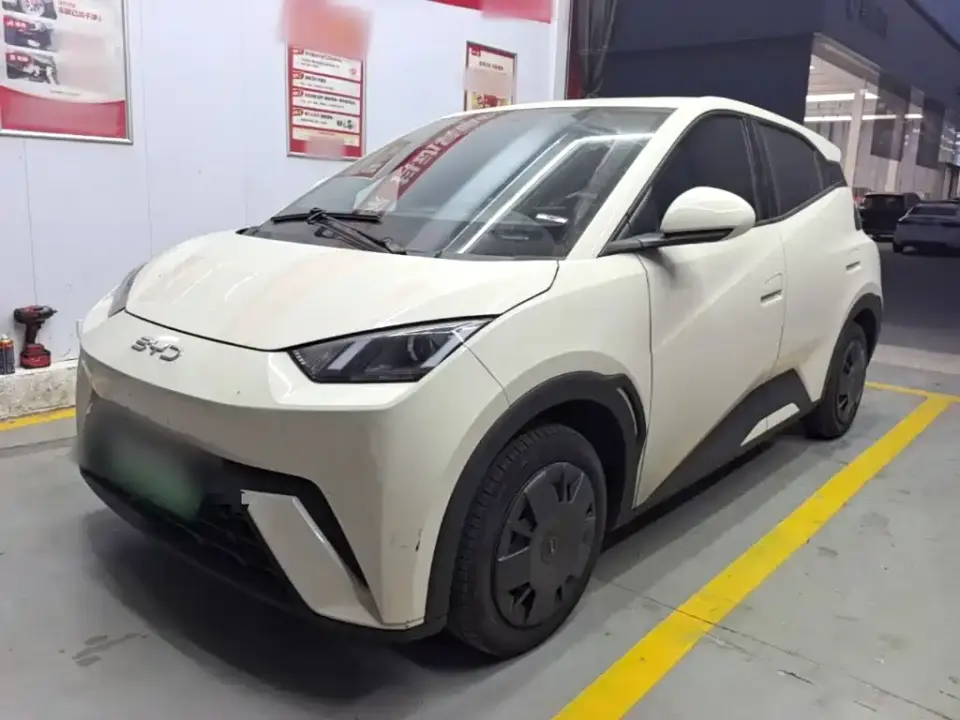 BYD Seagull Glory Edition 305km Vitality Edition 2024