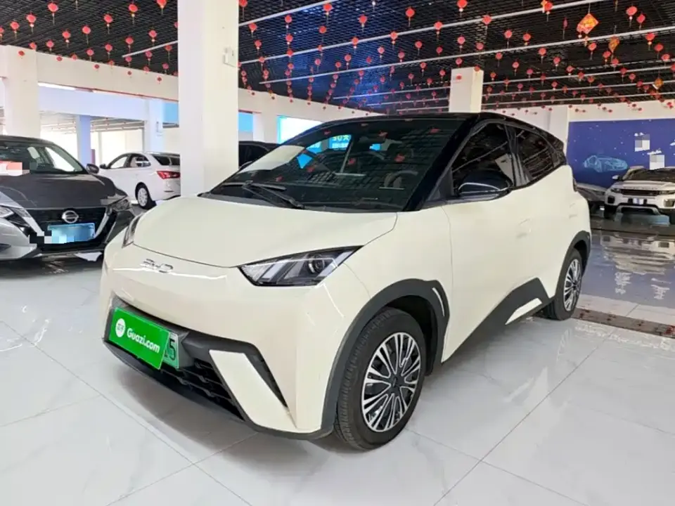 BYD Seagull 305km Vitality 2024