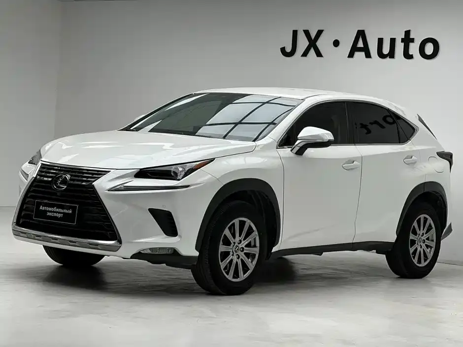 Lexus NX Model 200 FWD Fengxing Edition China V 2020