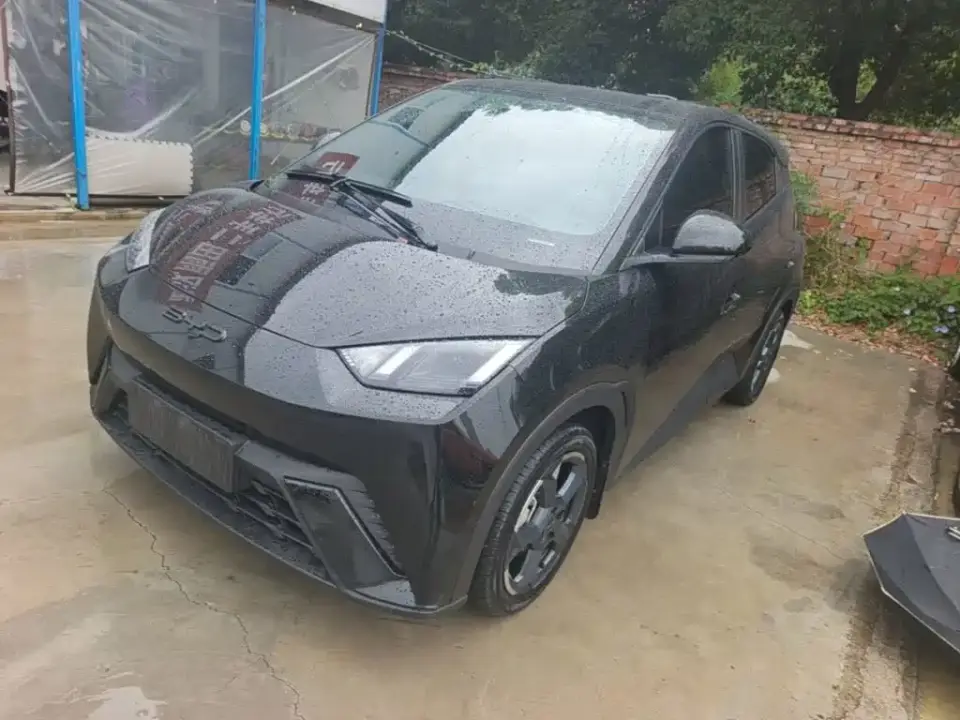 BYD Seagull Flying Edition 2023