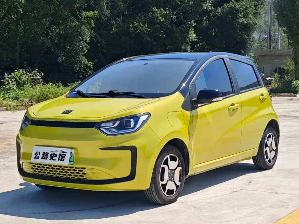 Sehol Flower Fairy 302km Luxury Edition 31.4kWh 2021
