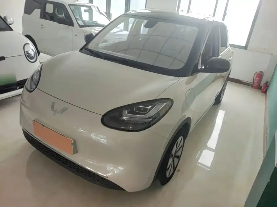 Wuling Motors Wuling Bingo 410km Lingxi Premium Edition 2024
