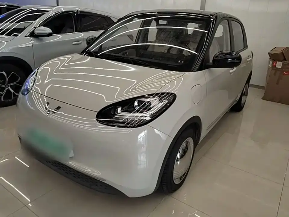Wuling Motors Wuling Bingo 333km Quick Enjoy Version 2023