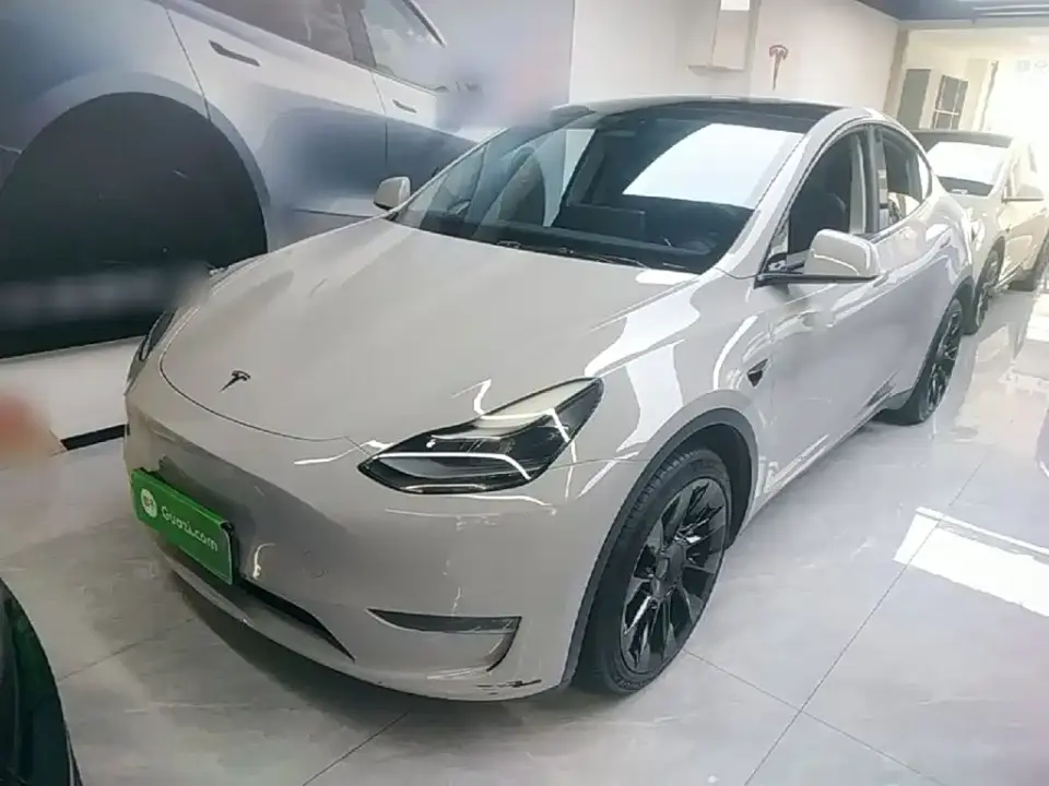 Tesla Model Y Standard Range Rear-Wheel Drive 2021
