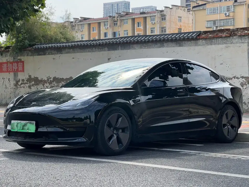 Tesla Model 3 Model Rear-Wheel Drive Version 2022