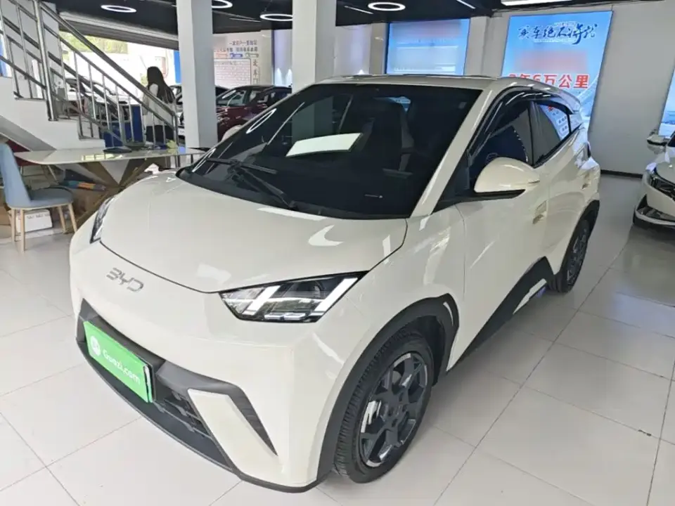 BYD Seagull Glory Edition 305km Freedom Edition 2024