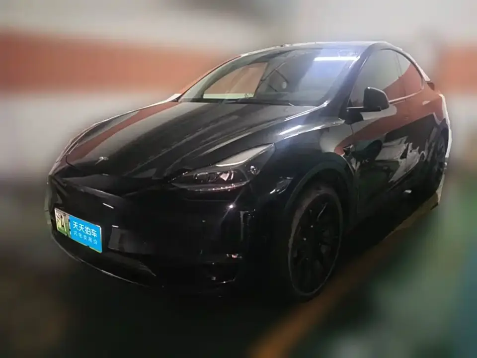 Tesla Model Y Standard Range Rear-Wheel Drive 2021