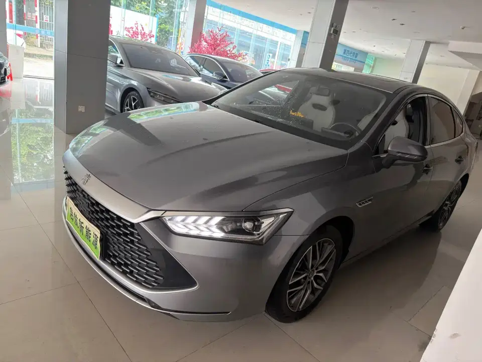 BYD Qin PLUS Champion Edition DM-i 55KM Leading 2023