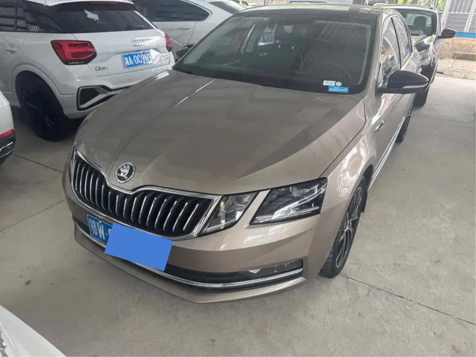 Skoda Octavia TSI280 DSG Smart Luxury Edition China V 2019