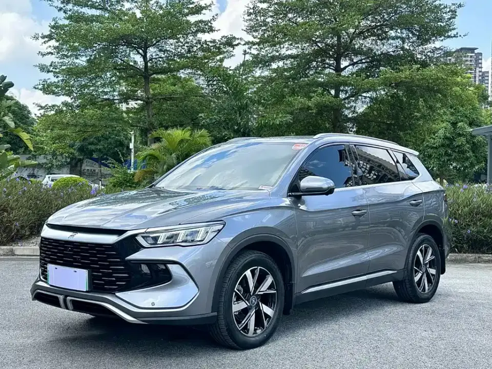 BYD Song Pro New Energy Glory Edition DM-i 71KM Pilot 2024