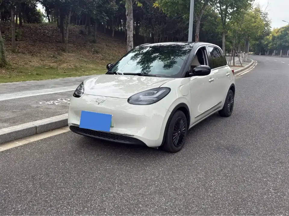 Wuling Motors Wuling Bingo 333km Joyful Version 2024