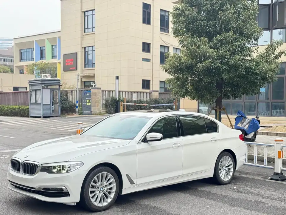 BMW 5 Series 530Li Leading Luxury Package 2019