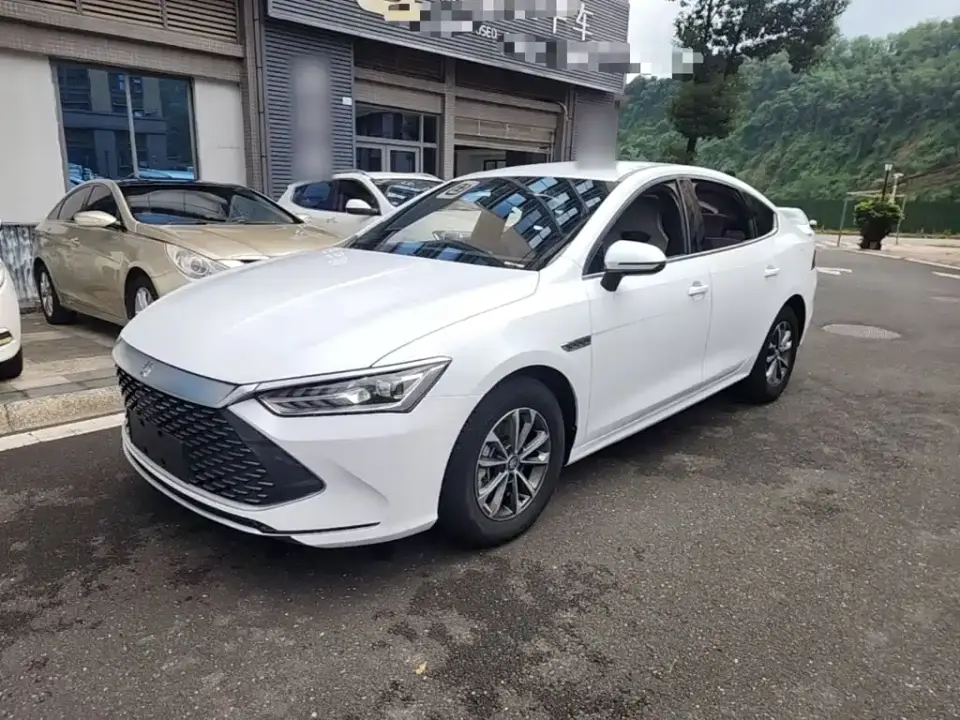 BYD Qin PLUS Champion Edition DM-i 55KM Leading 2023