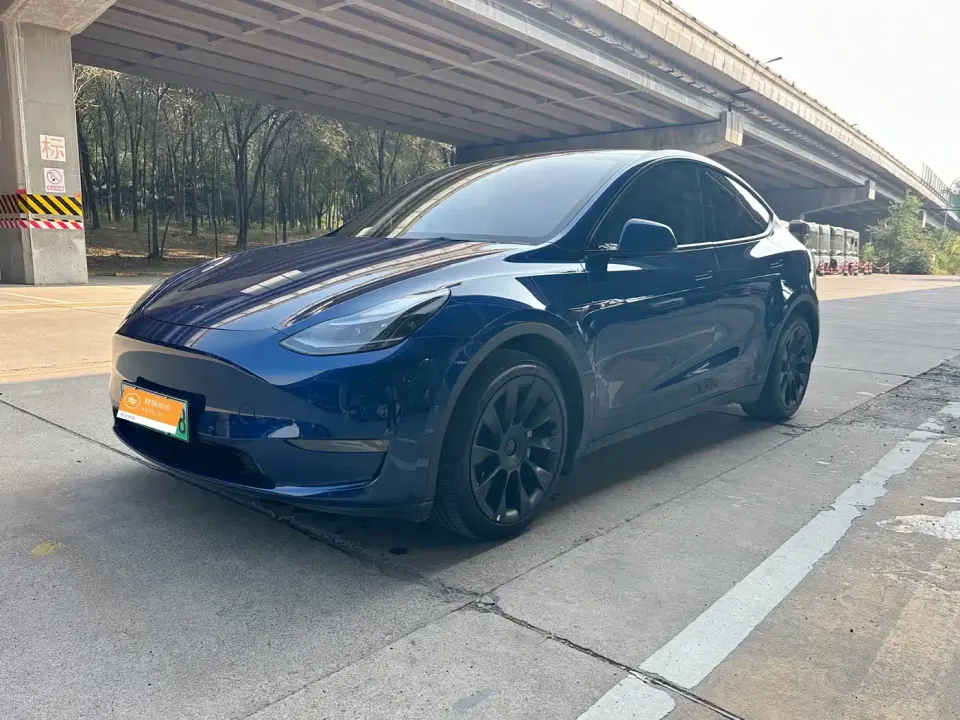 Tesla Model Y Long Range All-Wheel Drive 3D7 2021