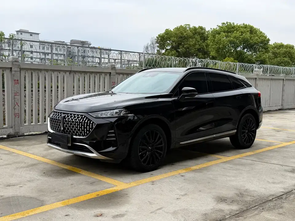 Wey Mocha New Energy 1.5T Zero-Anxiety Performance Edition 2022